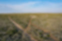 DJI_0311.jpg
