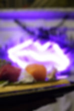 SASHIMI NARA