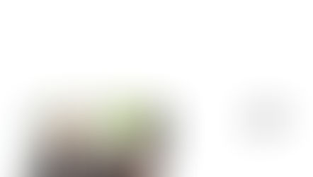 2025년 6월 29일 주보