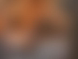 Capturing Nature's Grace: The Intricate Realism of the Red Fox