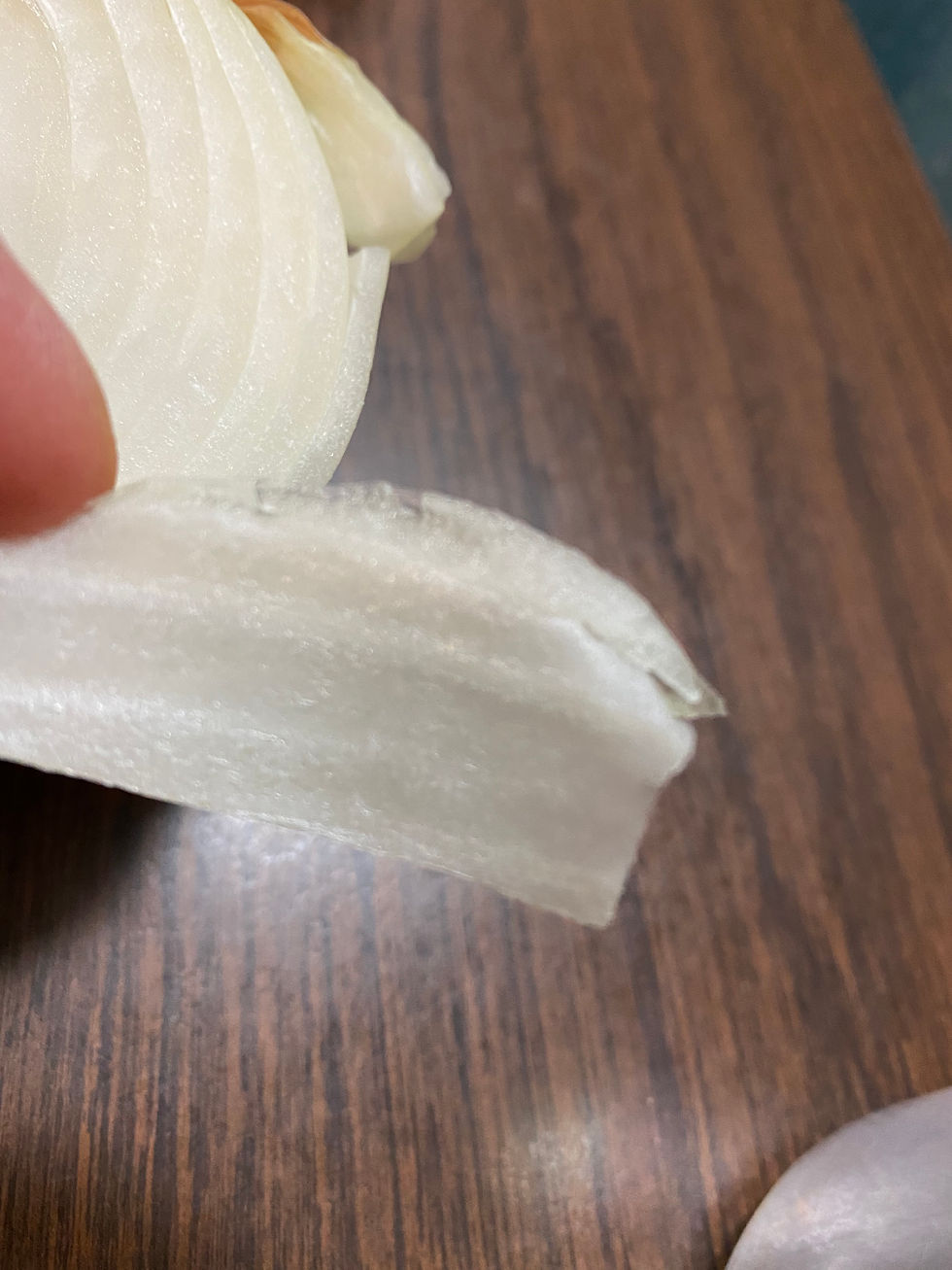 onion on countertop