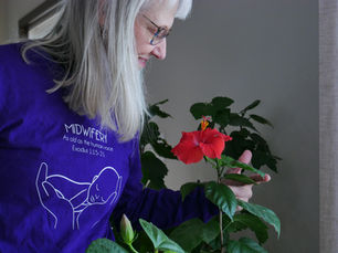 Personal Birth Experience of Intouch and Intune