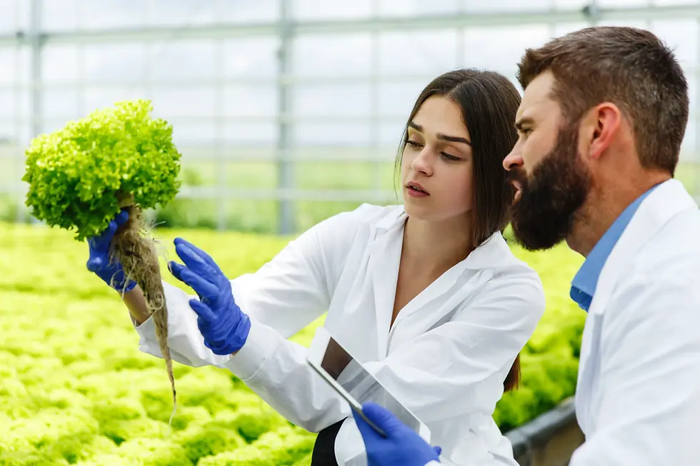 Food Safety Supervisor Course Curriculum: What Does It Cover?