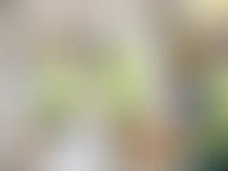 Owner Builder Course Online: What You’ll Learn and How It Meets NSW Fair Trading