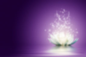AdobeStock_43535325.jpeg