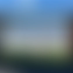 ワンちゃんと一緒に食事ができるお店のご紹介