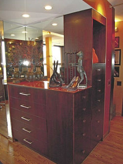 Portfolio Website Closet 7