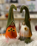 Gnome Project