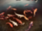 IMG_0053.jpeg