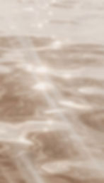 golden waves glistening