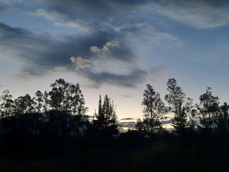 Los laberintos de la fe: de sincretismos, uvas y globos que se incendian