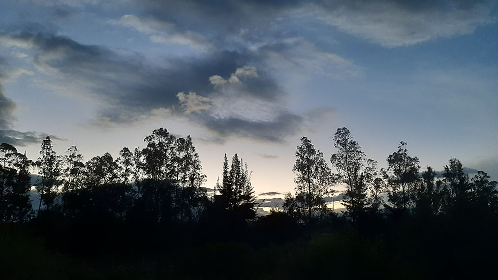 Los laberintos de la fe: de sincretismos, uvas y globos que se incendian