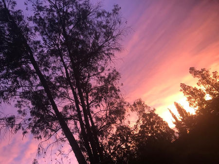 Los lugares luminosos de la memoria