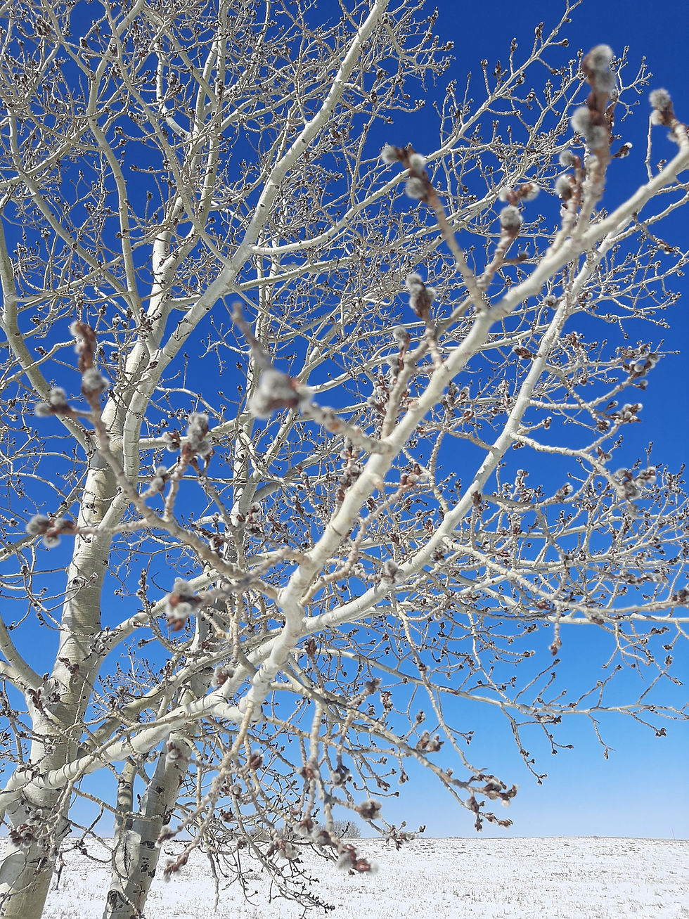 Del trabajo y las horas perdidas