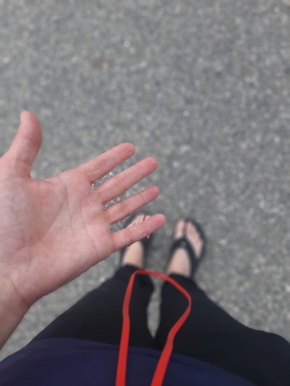 Paseo la primera tarde de agosto