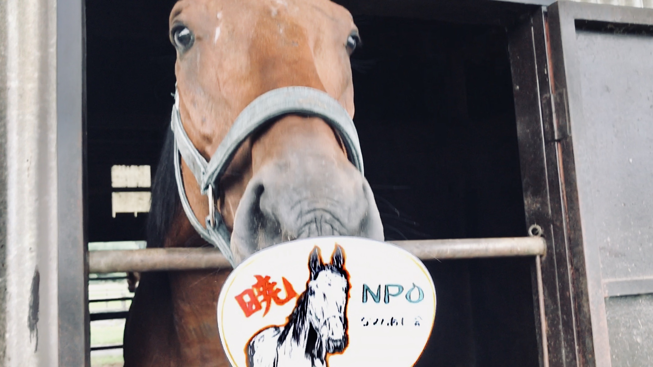 NPOうちわ