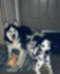 F00E273A-F090-48D7-862D-4C2301281C66.jpeg