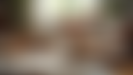 Keeping Your Pets Safe: Essential Pet Care Safety Tips for Every Owner