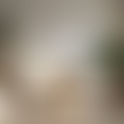 Ensuring Your Pet's Safety: Essential Pet Safety Tips