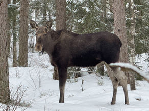 Newsletter for April 2026