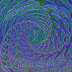 album insert blues with text 2026 2_edited.jpg