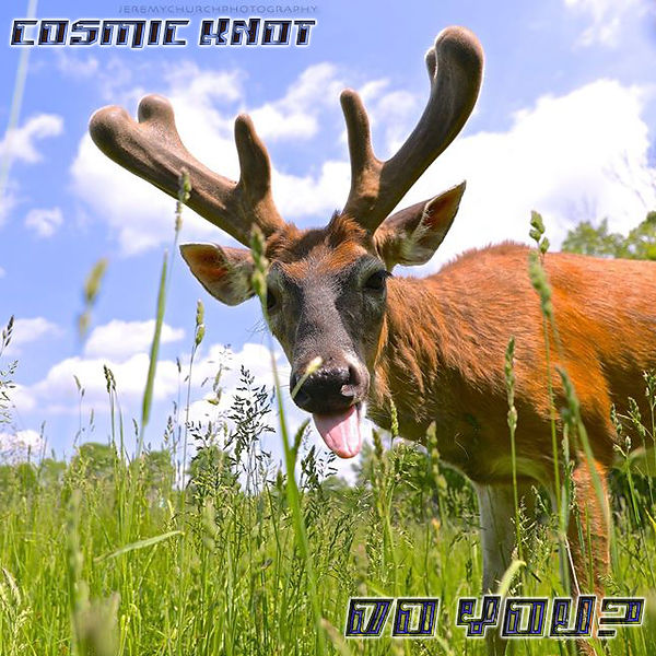 Second Album Cover Draft