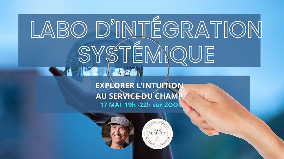 LABO INTÉGRATION SYSTÉMIQUE