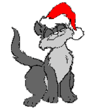 котик.gif