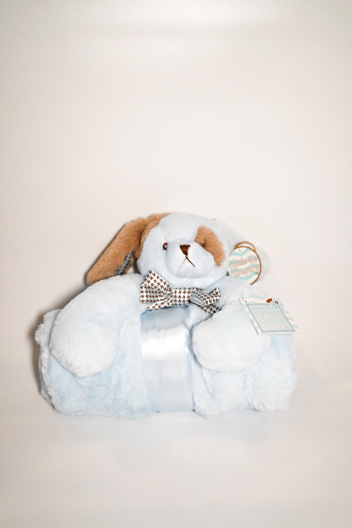 Customized Cuddle Me Sleeper - Blue Puppy