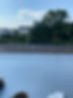 thumbnail_PHOTO-2023-08-23-15-52-03.jpg