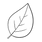pngtree-large-leaf-black-and-white-clipart-png-image_2666741-removebg-preview.png