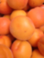 Apricots