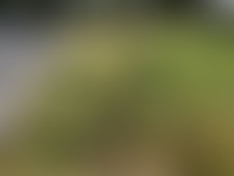 Spieler-Trainer-Challenge biegt auf die Zielgerade ein! Betreuerteam im leichten Vorteil!