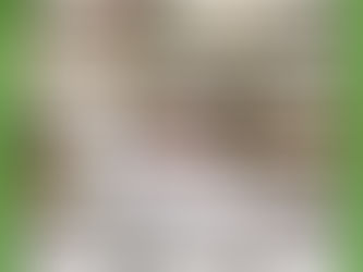 100er Klub wächst auf 18 Unterstützer!