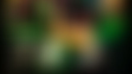 Auswärtshürde in Dresden!