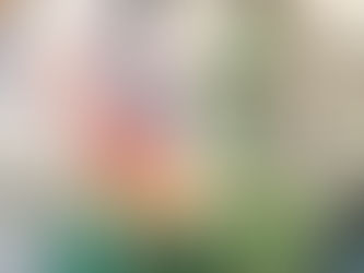 Putin Demands More Efficient Military Corruption