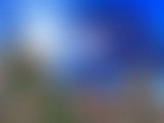 Кто такие Fellas из NAFO? Мемные собаки-«друганы» vs роспропаганда