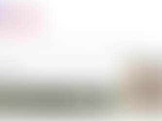 Istorijos makaronai lietuvių ausims