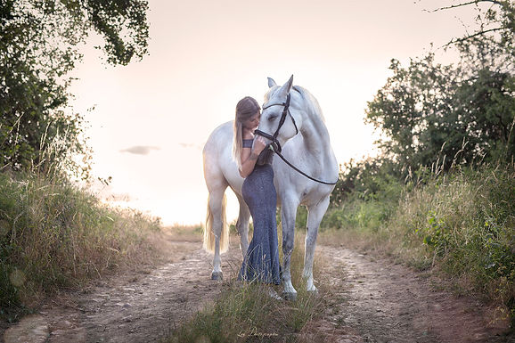 photographe équin Moselle