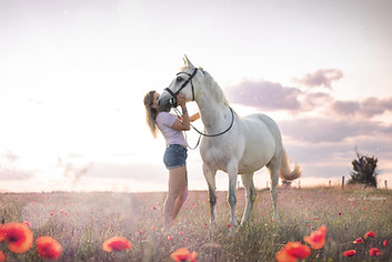 Photographe équin en Moselle