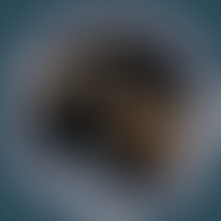 26 - Reit mich, ich bin ergonomisch