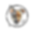 colorltdBubble.png