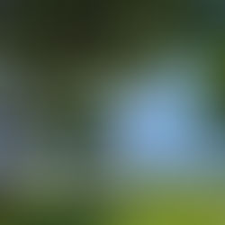 012326 줌미팅 소감문