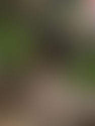 032726새벽 줌 미팅 소감