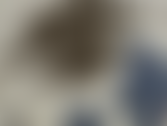 "한두달"의 삶의 경험이나 지식이나 인성으로 이력서가 써지는 것이 아니다