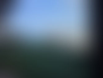 ㅡ031026 미팅 및 30차 하와이캠프 소감