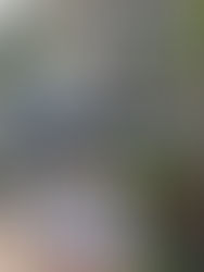 022726 30차하와이캠프 DAY3 루디아 한울 엘리사벳