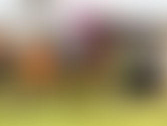 Cerridwyn bound for Saturday class