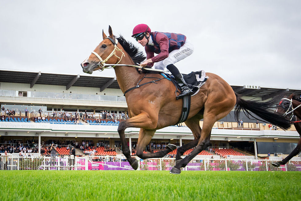 Rusty Dreams makes it 3 from 3