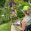 Thumbnail: Pink Poppies